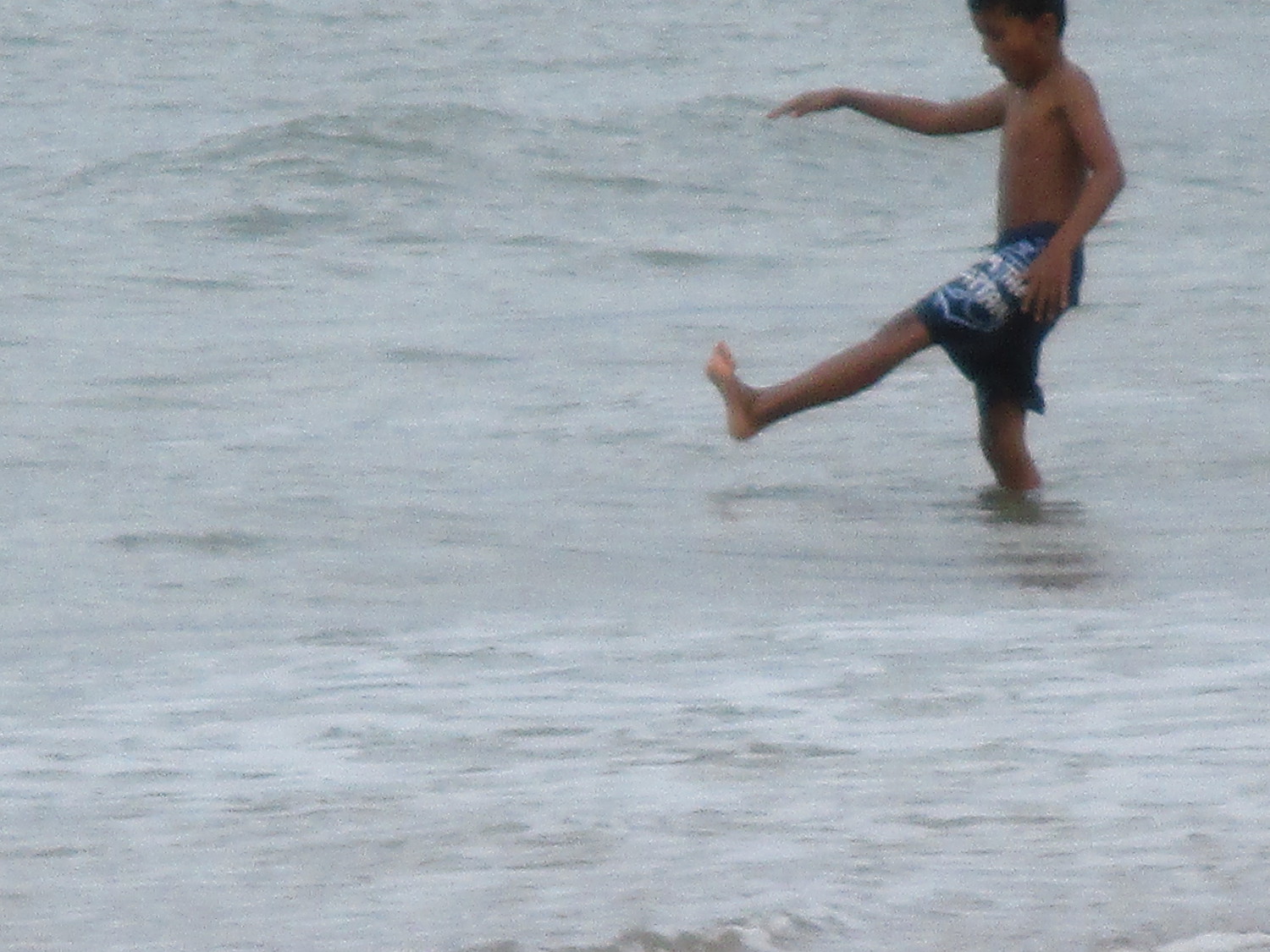 image_1.jpg
