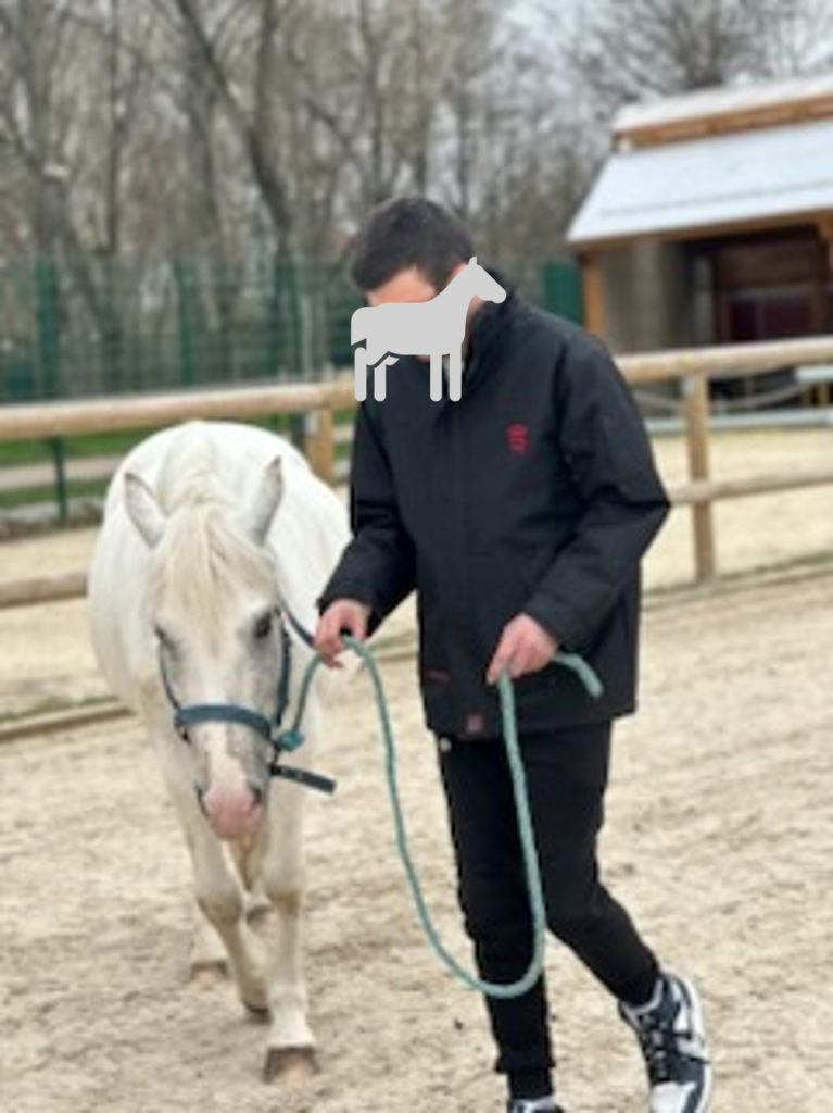 Equithérapie - SAUO La Courneuve