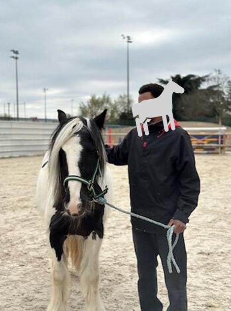 Equithérapie - SAUO La Courneuve